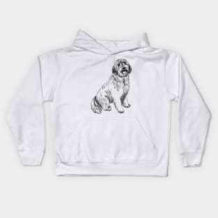 labradoodle portrait Kids Hoodie